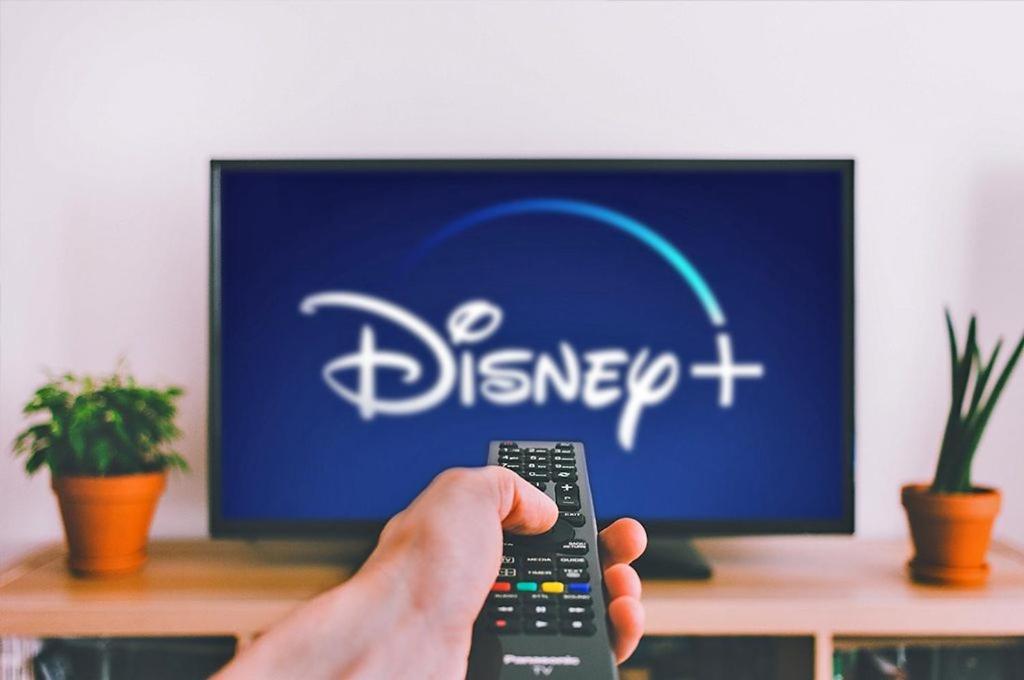 Pentru Plata Numerar Cautati Pe G00Gle, Norsk Skogkatt Galati - Big Tv Disneyplus Tv! Kültér fotó